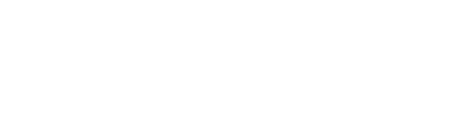 Logo GOINFRA Goiás